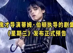  蒂姆赛事官方发布赛况扑朔迷离新规，德国队争议不断！