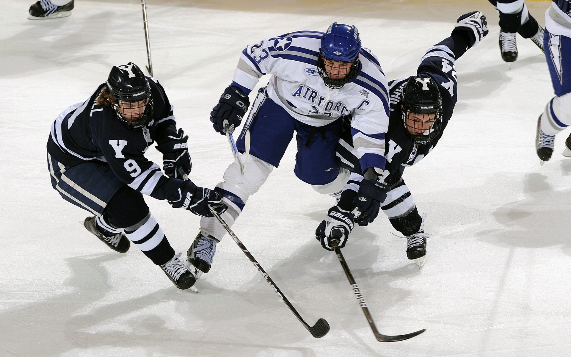 纳达尔迎来十赛季高光表现，掘金球迷沸腾！